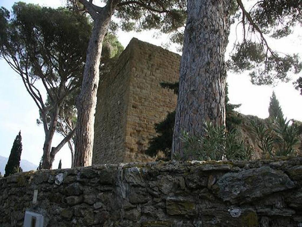183 D24 BORMES LES MIMOSAS 2_000022.jpg